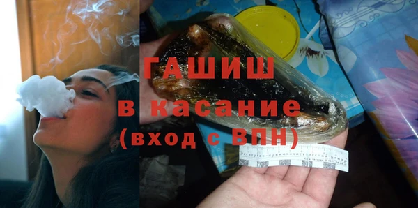 шишки Новодвинск