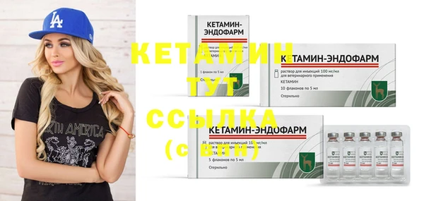 спиды Гусев