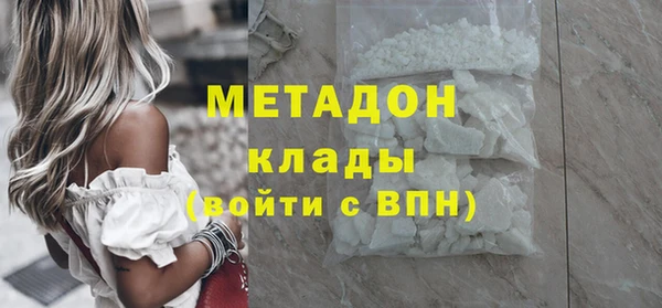 шишки Новодвинск