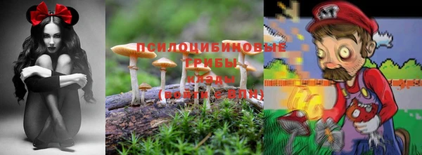 apvp Нефтегорск