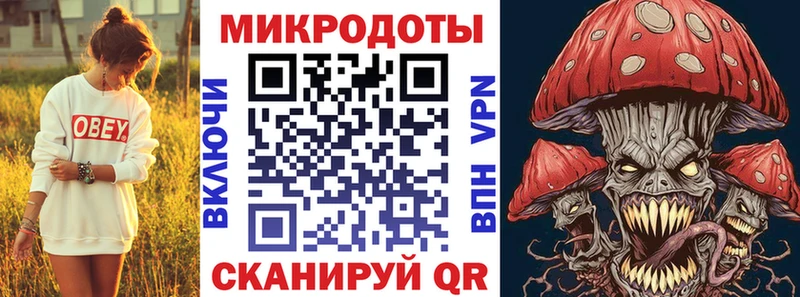 Галлюциногенные грибы Psilocybe  Пересвет 